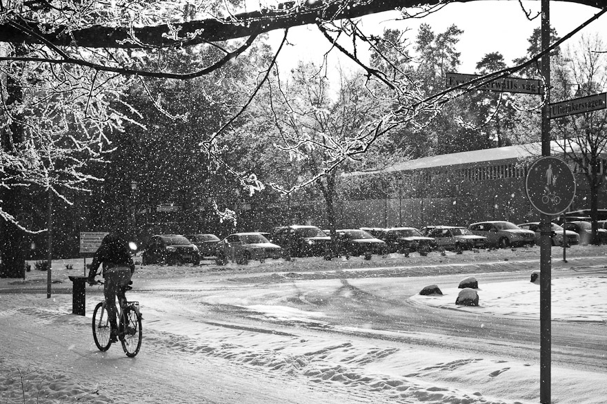 Man cycling in Uppsala, Sweden